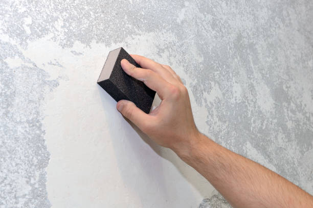 Best Environmental Consulting for Mold Prevention  in Colonial Heights, TN