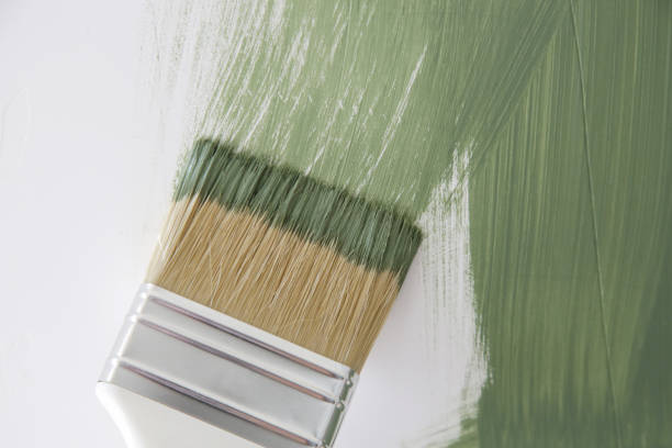 Best Emergency Mold Remediation  in Colonial Heights, TN