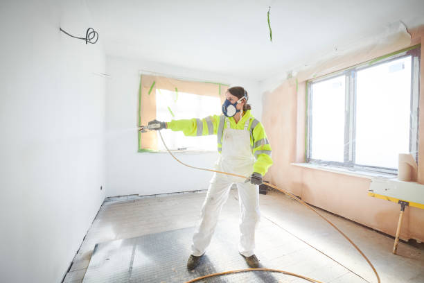 Best Basement Mold Removal  in Colonial Heights, TN