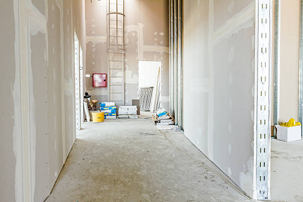 Best Mold Damage Restoration  in Colonial Heights, TN