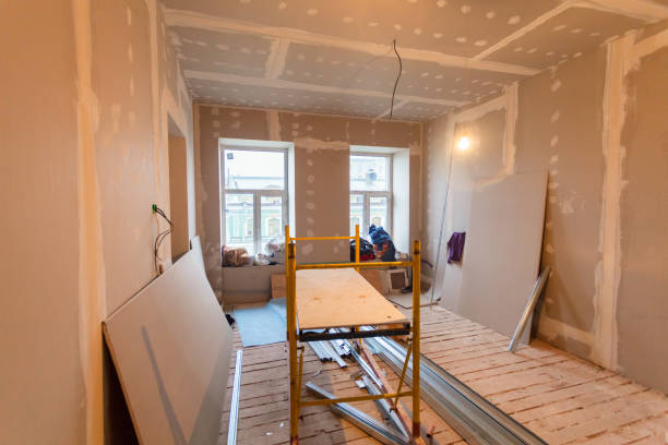 Best Airborne Mold Testing  in Colonial Heights, TN